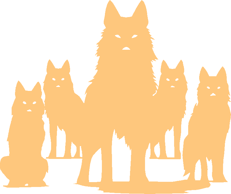 Silhouette of five wolves looking at you.